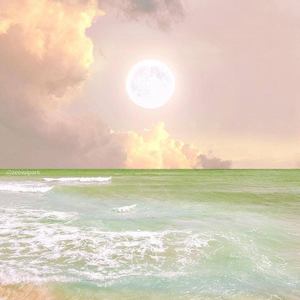 空山新雨后