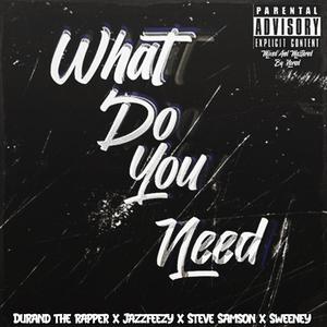 What Do You Need (feat. Steve Samson & Sweeney) (Explicit)