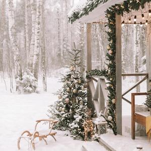 Cânt de Iarnă Sfântă