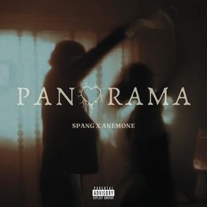 PANORAMA (feat. SPANG)