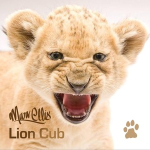 Lion Cub (Explicit)