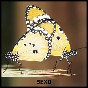 SEXO