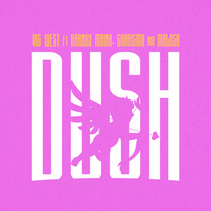 DUSH