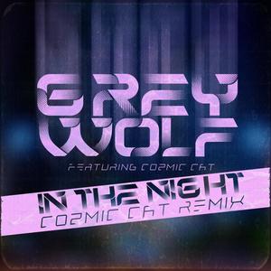 In The Night (Cozmic Cat Remix)