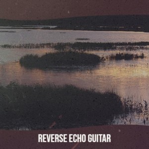 Reverse Echo Guitar