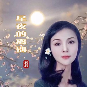 星夜的离别