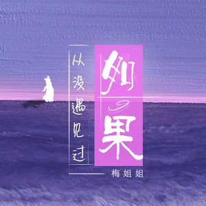 如果从没遇见过