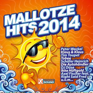 Mallotze Hits 2014