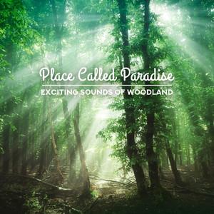 Place Called Paradise: Exciting Sounds of Woodland