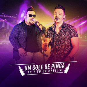 Um Gole de Pinga (Ao Vivo em Marília)