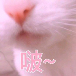 给陌生的你听♡