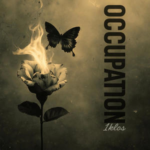 OCCUPATION (Explicit)