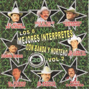 Los 8 Mejores Interpretes Con Banda y Norteno 20 Exitos de Coleccion