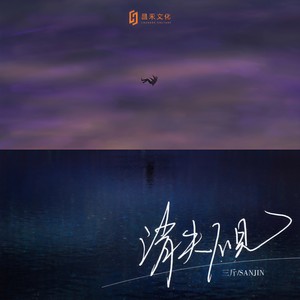 三斤 - 消失不见 (DJ枫叶版)