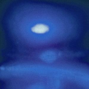 Close to U (feat. muff3t)