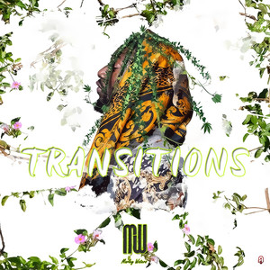 Transitions (Explicit)