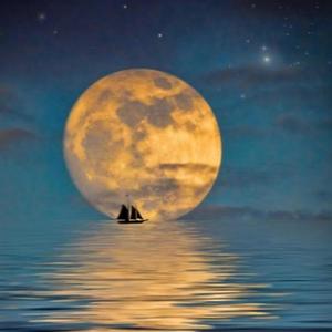 Moonlight (Explicit)