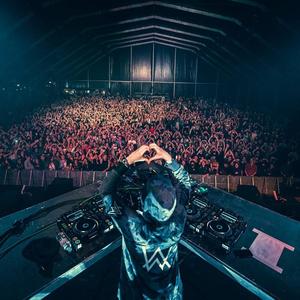 Alan Walker-Diamond Heart (钢琴版)