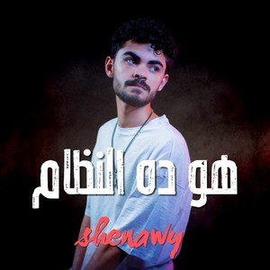 هو ده النظام