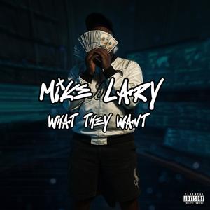 What they want (Explicit)