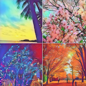 Four Seasons