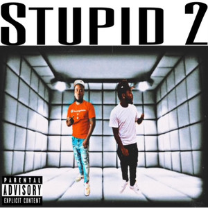 Stupid 2 (Explicit)