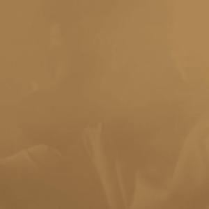 Dust (feat. Bxndo) (Explicit)