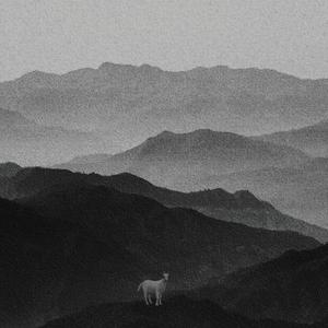 VENXM (feat. T!MBO) (Explicit)