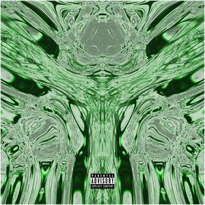 Fly (feat. Justsayrex) (Explicit)