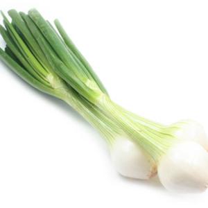 fat scallions