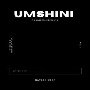 Umshini