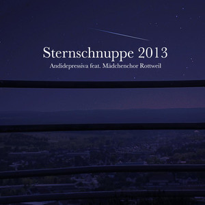 Sternschnuppe 2013