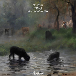 Hostam (Original Mix)