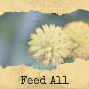 Feed All