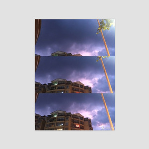 不易的小水蜜桃们