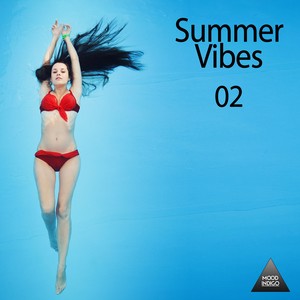 Summer Vibes, Vol.02