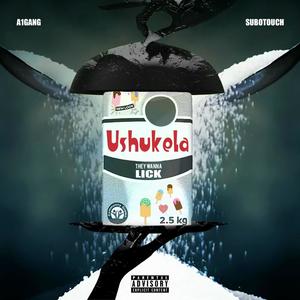 Ushukela (feat. SuboTouch) (Explicit)