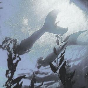 LIKE A MERMAID (Explicit)