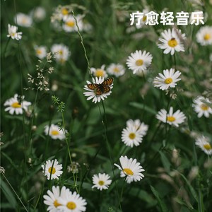 光亮-疗愈轻音乐