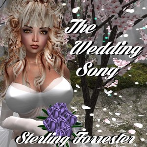 The Wedding Song