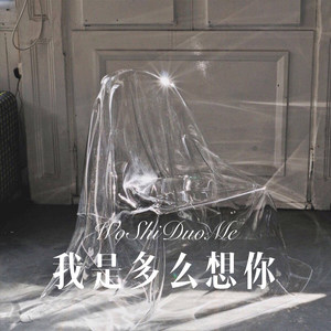 我是多么想你 (Remix)