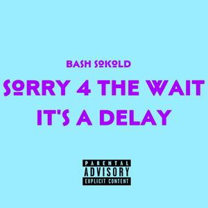 Sorry 4 The Wait It's A Delay (Explicit)