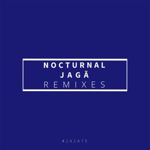 Nocturnal (Remixes)