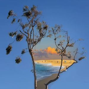 好你个小夜 - 我会反复爱上你