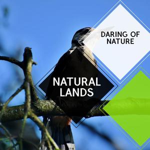 Natural Lands - Daring of Nature