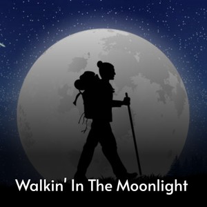 Walkin' in the Moonlight