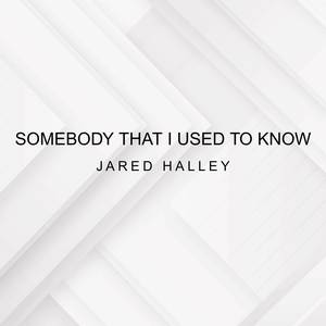 Somebody That I Used To Know (Acappella)