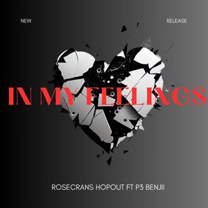 In My Feelings (feat. P3 Benjii) (Explicit)
