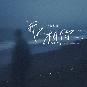 我不想你 (温柔版和声伴奏)