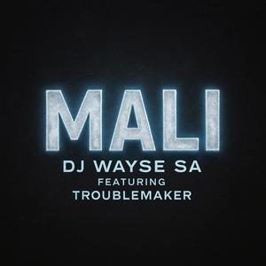 Wakahle (feat. TroubleMaker)